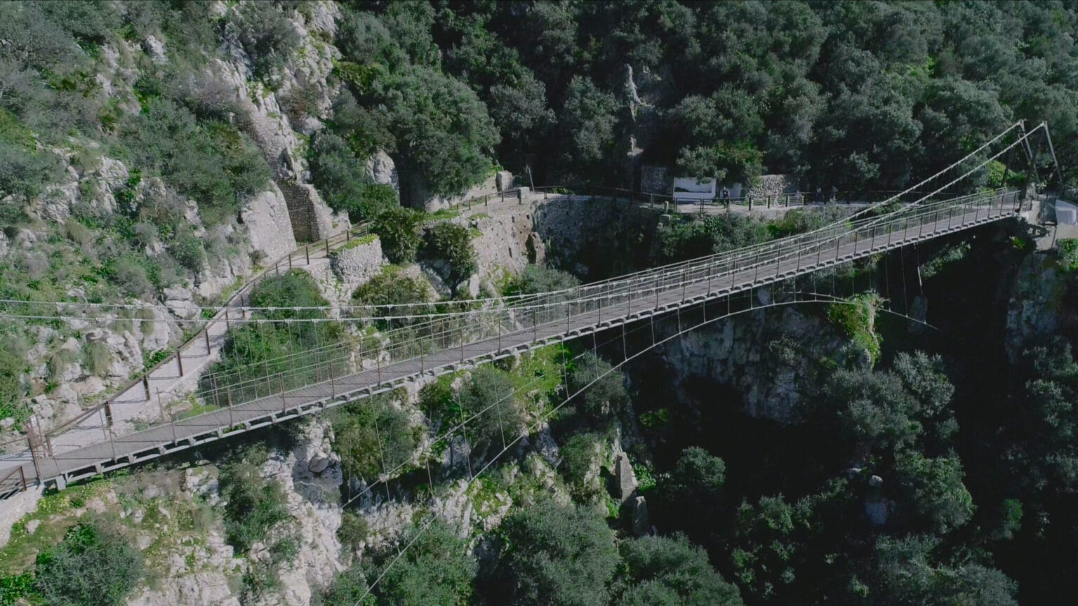 Windsor Suspension Bridge • Gibraltar Nature Reserve