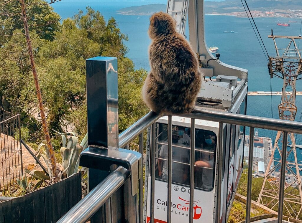 Cable Car Gibraltar Nature Reserve