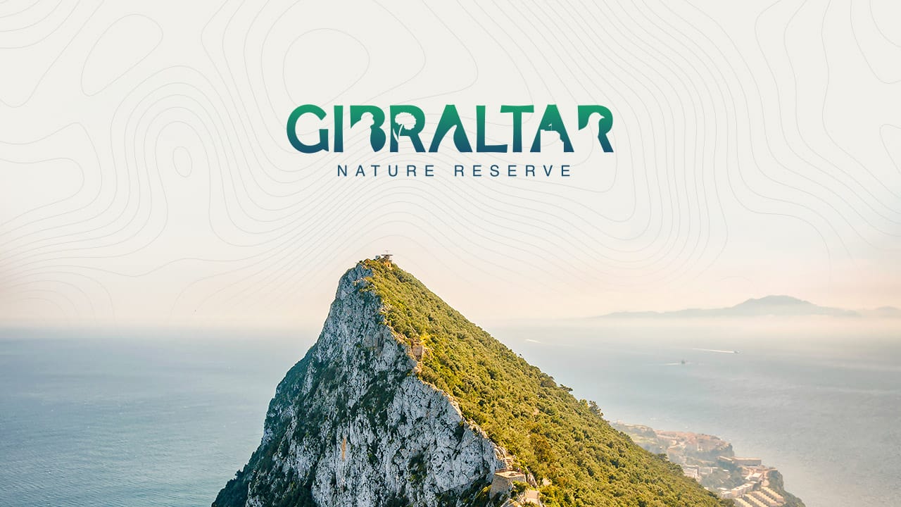 Coming Soon • Gibraltar Nature Reserve